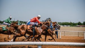 ¿Cómo apostar en las carreras de caballos y ganar?