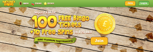 Todo sobre Duck Duck Bingo Casino Online