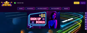 Todo sobre BitBetWin Casino Online