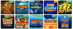 PlayKasino Casino tipos de juego