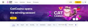 Todo sobre CatCasino Casino Online